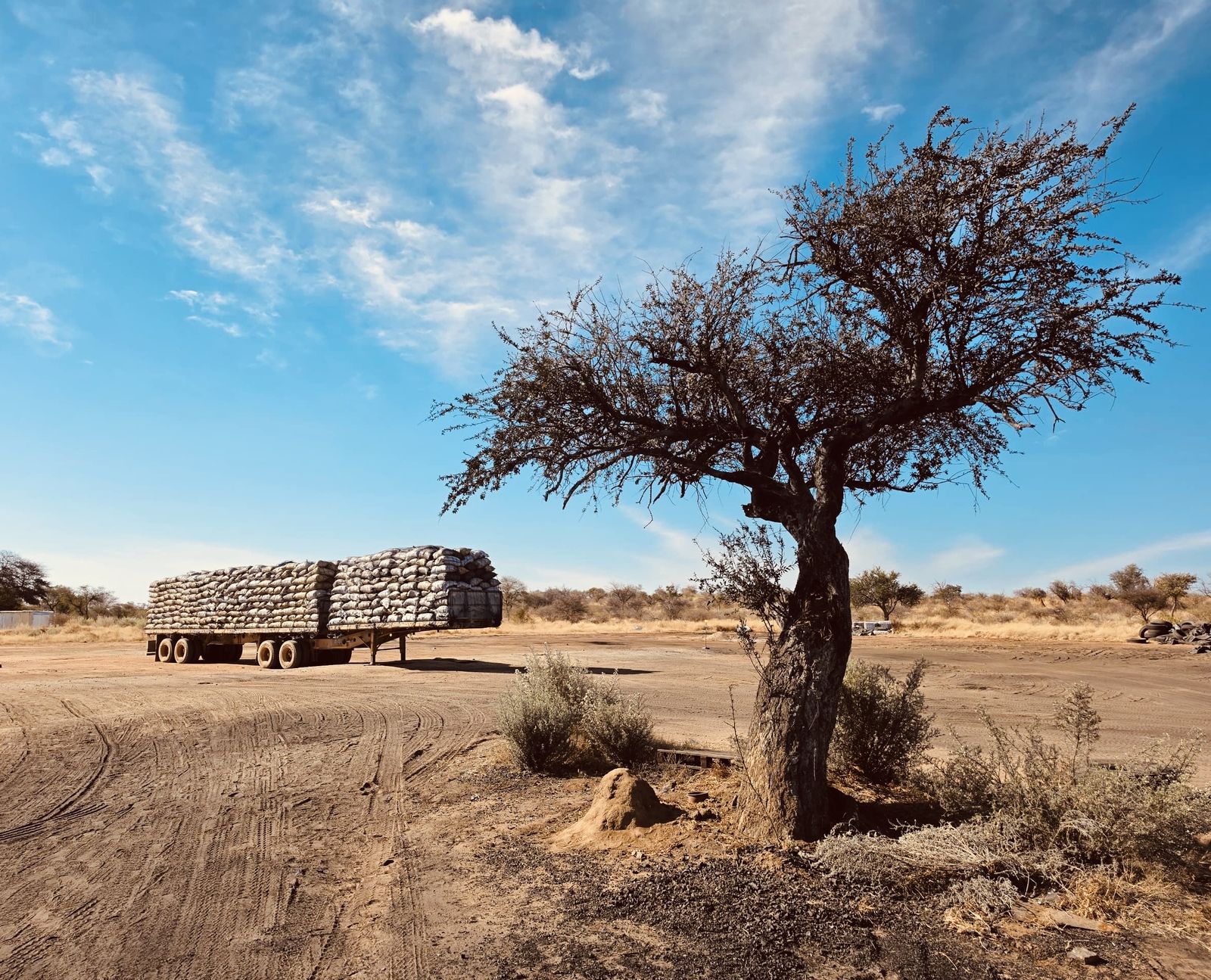 Namibian charcoal sourcing